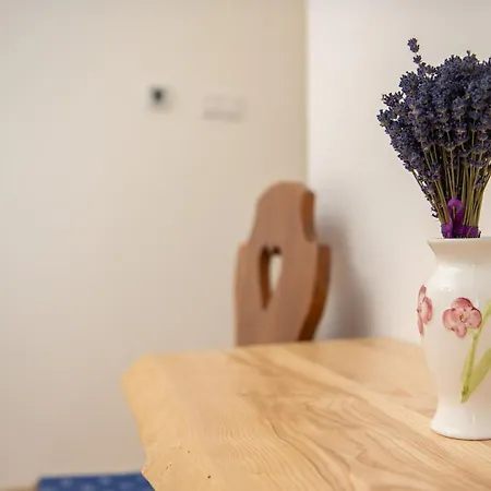 Tokaji Dulo Vendeghaz Lägenhet Tokaj