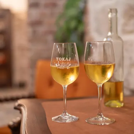 Tokaji Dulo Vendeghaz Lägenhet Tokaj