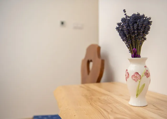 Tokaji Dulo Vendeghaz Apartment Tokaj