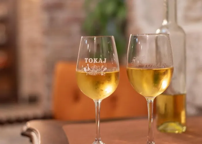 Tokaji Dulo Vendeghaz דירה טוקאי