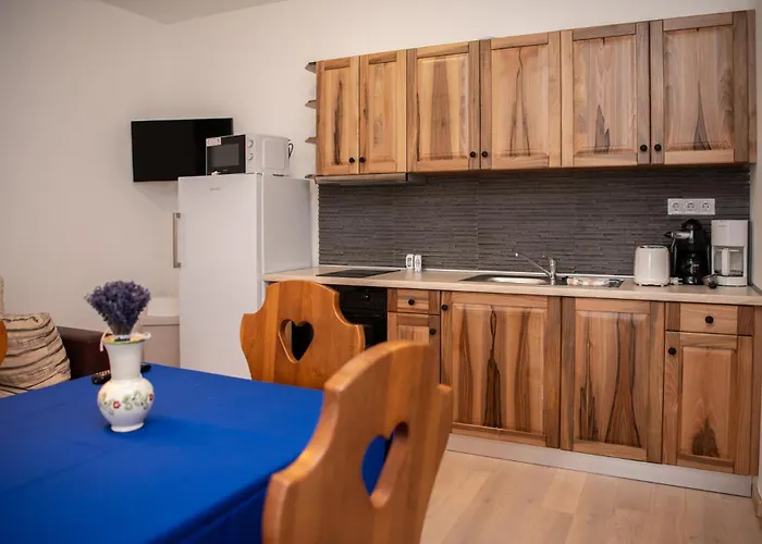 Apartment Tokaji Dulo Vendeghaz Tokaj