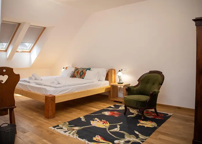 Apartment Tokaji Dulo Vendeghaz