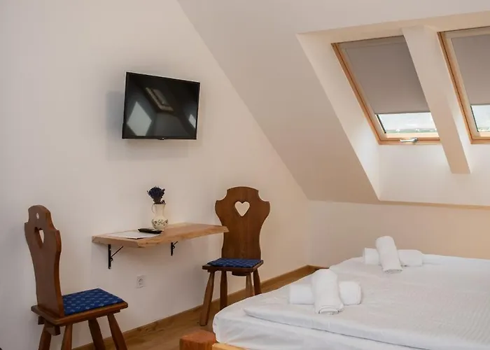 Tokaji Dulo Vendeghaz *